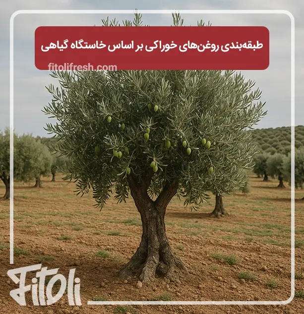 طبقه‌بندی روغن‌های خوراکی بر اساس خاستگاه گیاهی